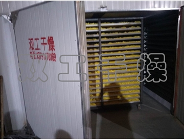 熱風循環烘干箱